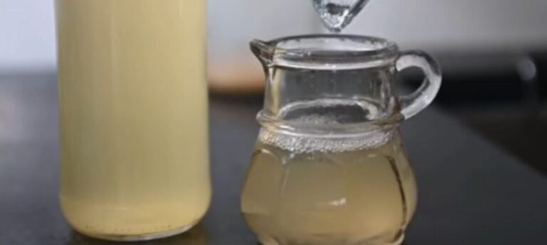 Zdravlje,