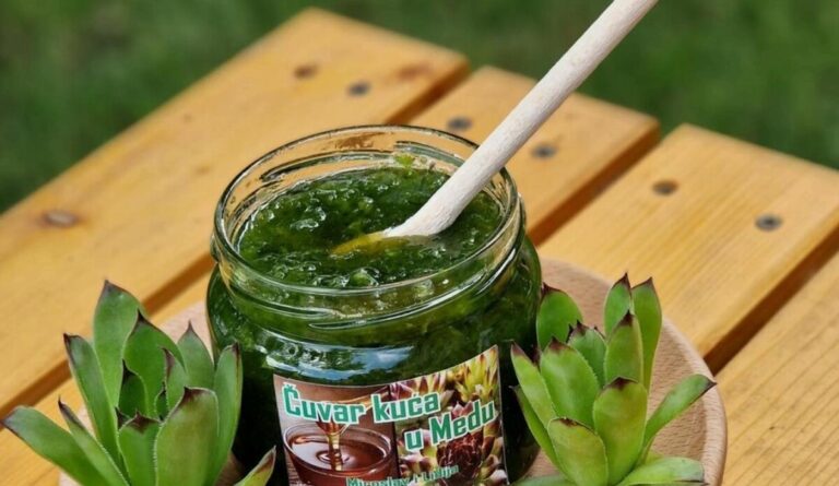 RECEPT KOJI SVAKA ŽENA TREBA DA ZNA: Uklanja neugodne mirise i smanjuje sekret… Zdravlje,