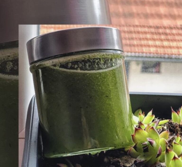 RECEPT PROTIV ŽENSKIH TEGOBA: Čuvarkuća i med je kombinacija koja je jako efikasna… Zdravlje,