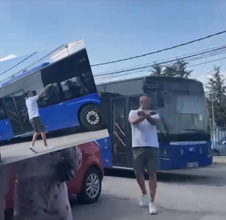 Borislav Terzić Terza,