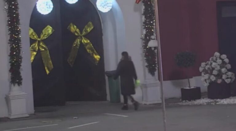 Miljana Kulic,