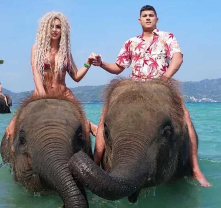 Ena Čolić, Jovan Pejić Peja,