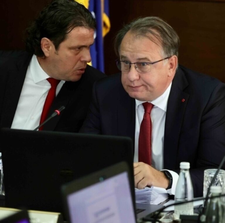Nermin Nikšić,