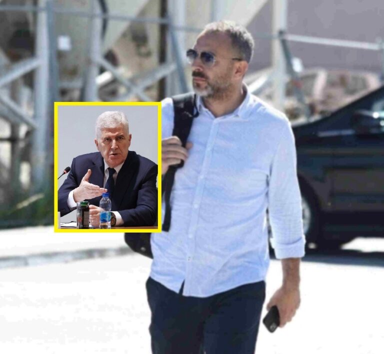 Dragan Covic, Avdo Avdić,