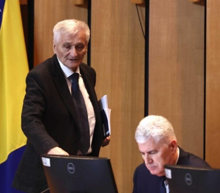 Nikola Špirić,