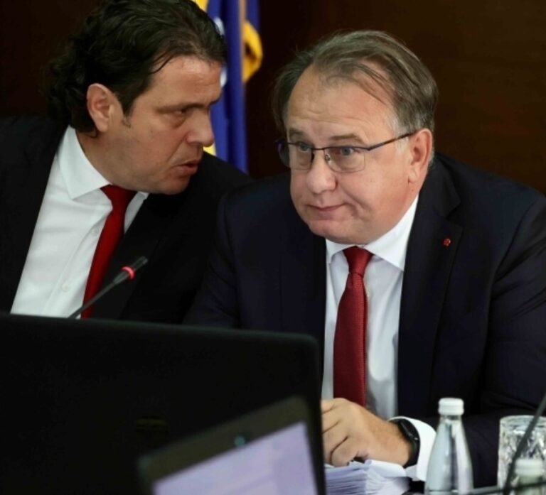Nermin Nikšić,