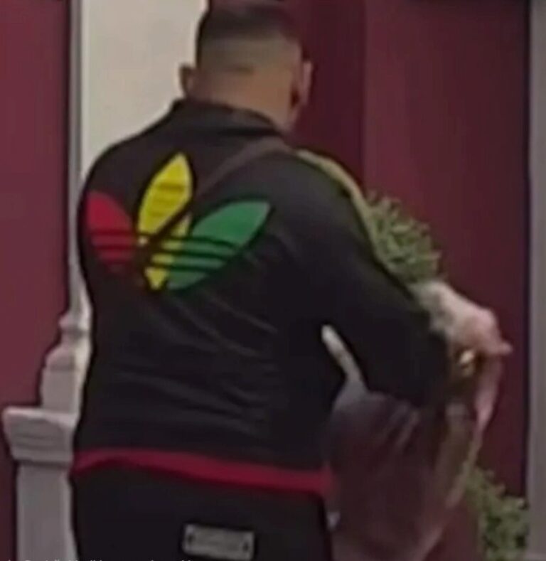 Bora Santana,