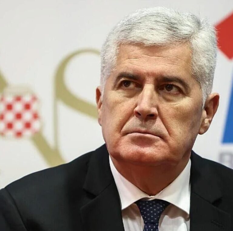 Dragan Covic,