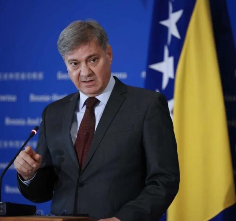 Denis Zvizdić,