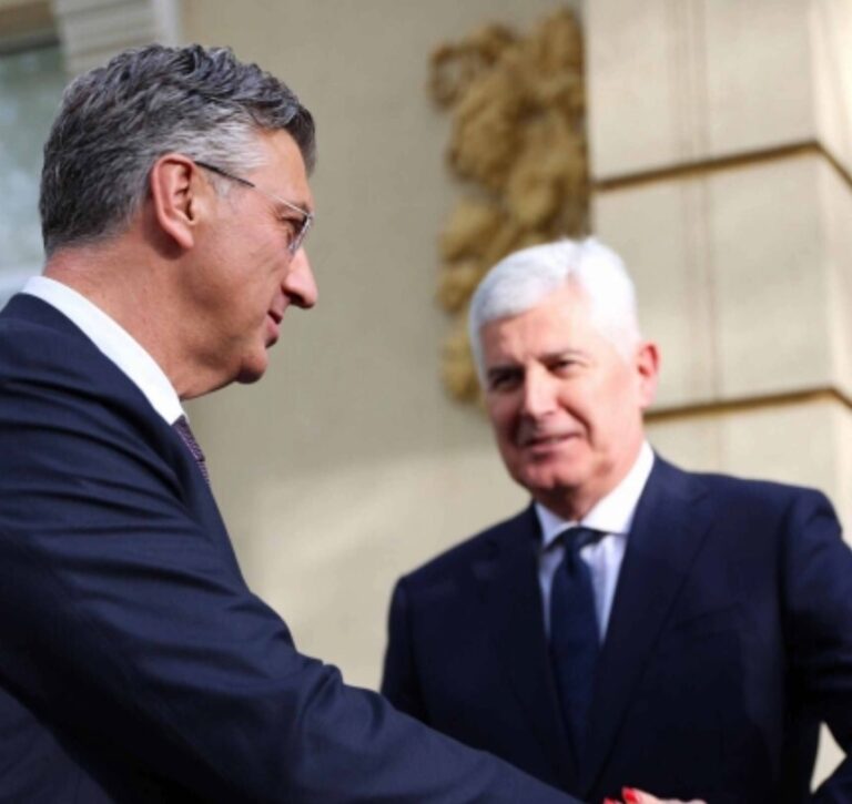 Andrej Plenković, Dragan Covic,