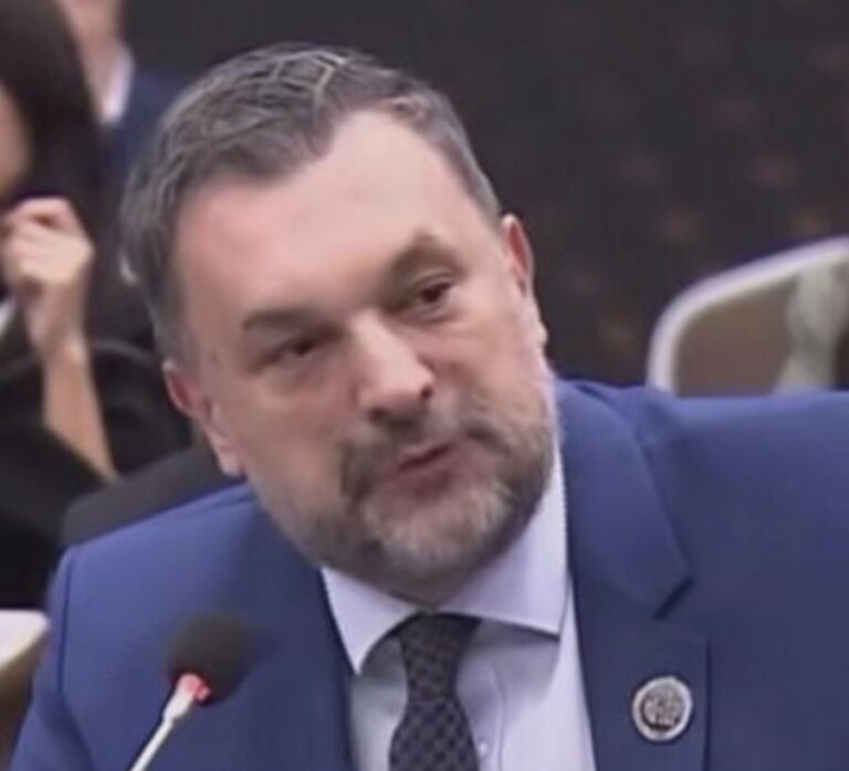Elmedin Konaković,