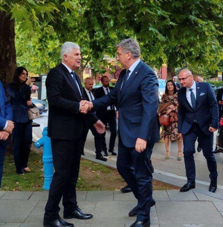 Dragan Covic, Andrej Plenković,