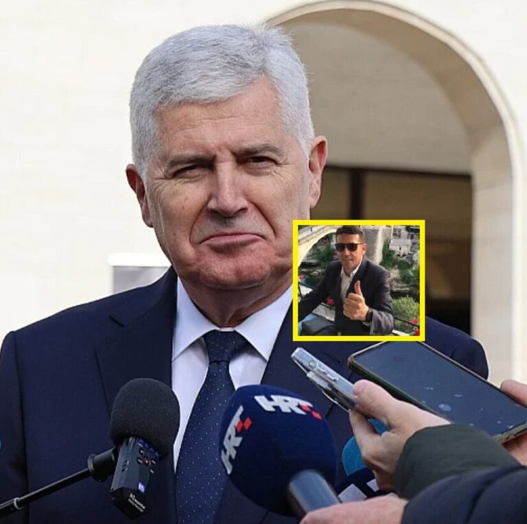Dragan Covic, Zdenko Lučić,
