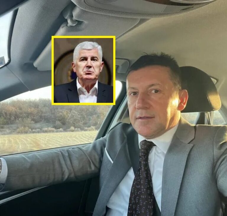 Zdenko Lučić, Dragan Covic,