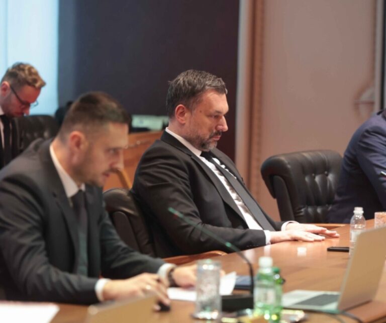 Elmedin Konaković,