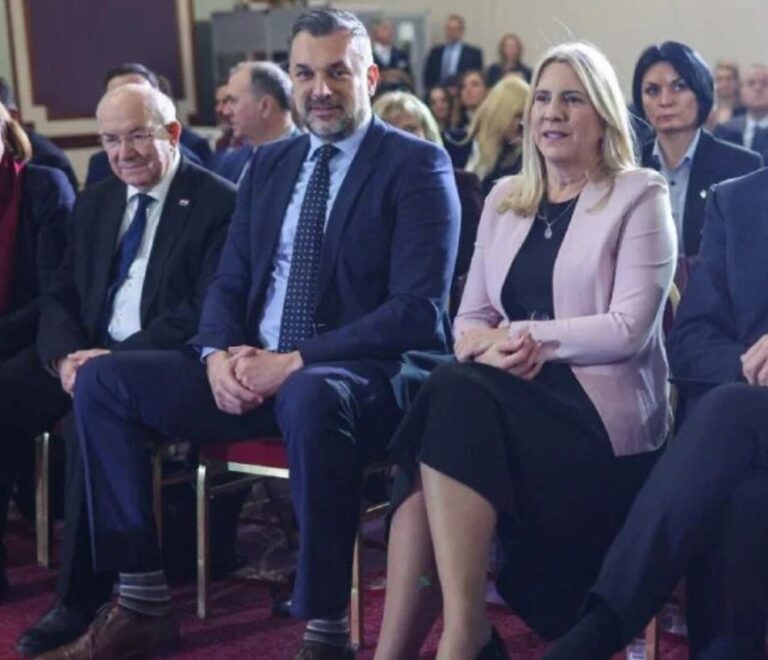 Zeljka Cvijanovic, Elmedin Konaković,