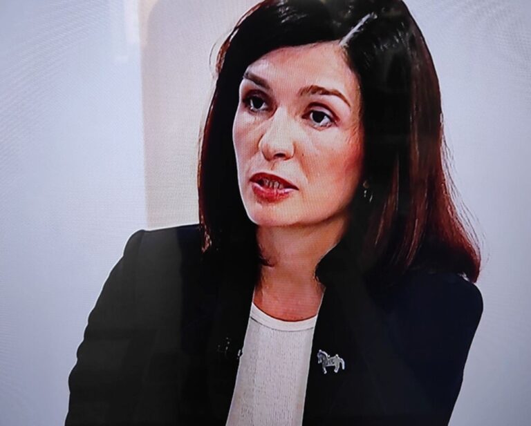 Sabina Ćudić,
