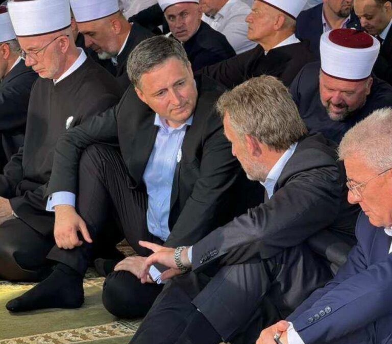 Bakir Izetbegovic, Denis Becirovic,