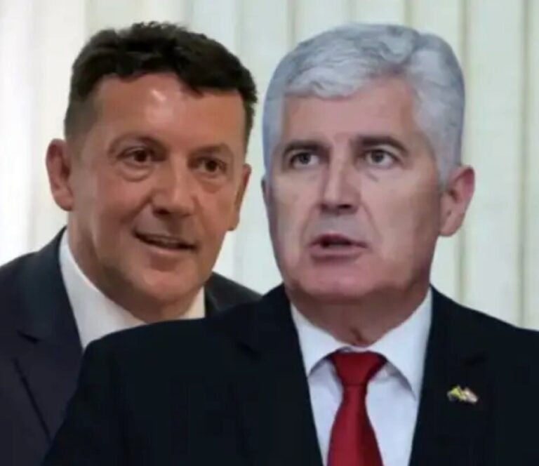 Dragan Covic, Zdenko Lučić,