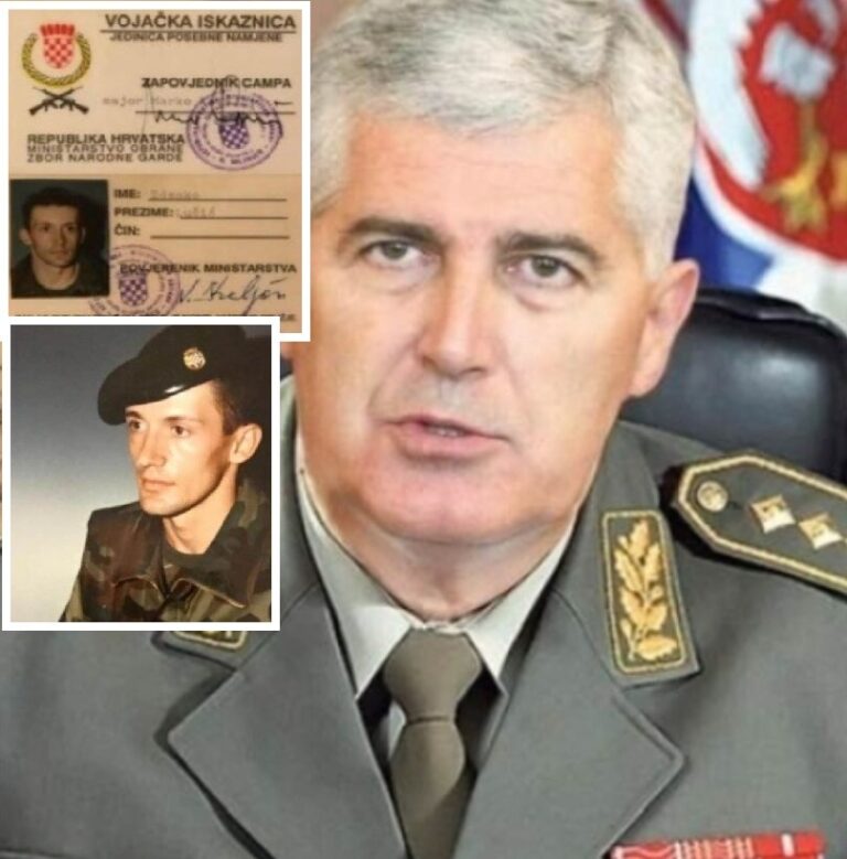 Zdenko Lučić, Dragan Covic,