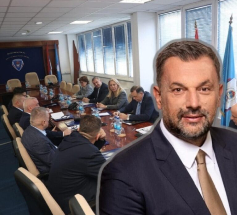 Elmedin Konaković,