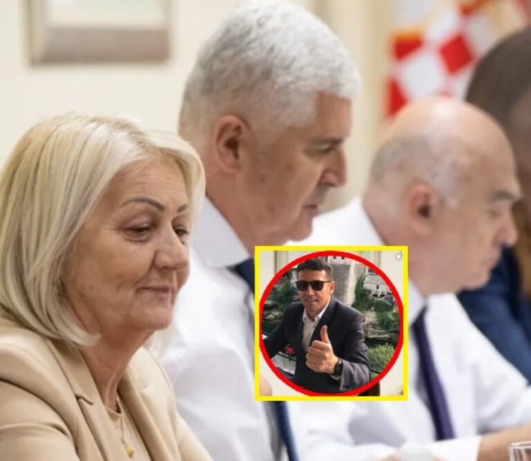 Zdenko Lučić, Dragan Covic,