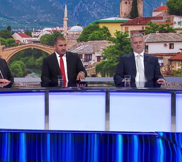 Haris Zahiragić, Nino Raspudic,