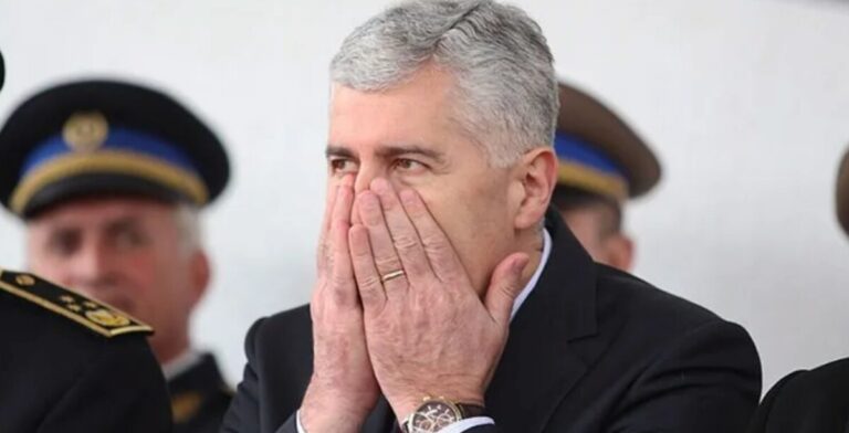 Dragan Covic,
