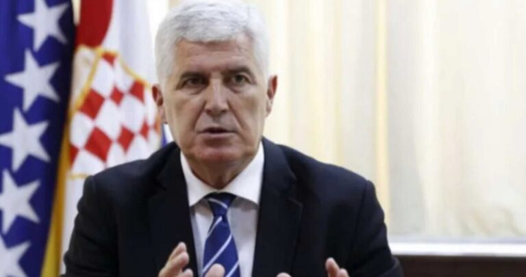 Dragan Covic,
