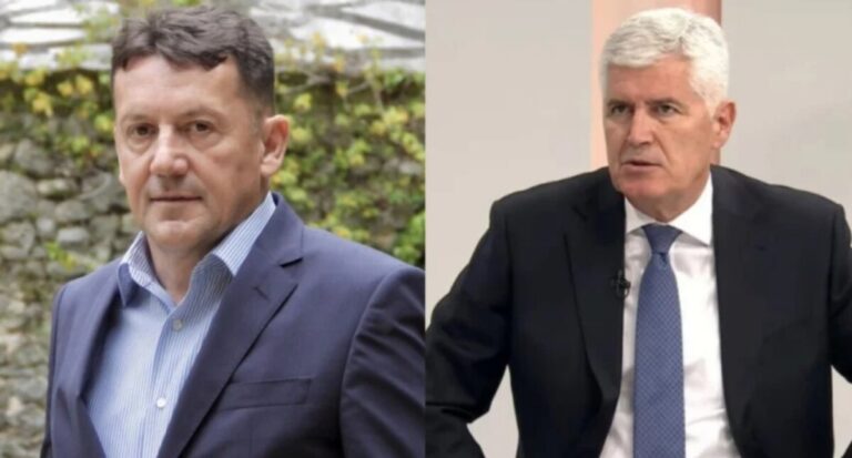 Zdenko Lučić, Dragan Covic,
