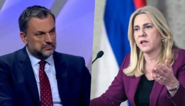 Zeljka Cvijanovic, Elmedin Konaković,